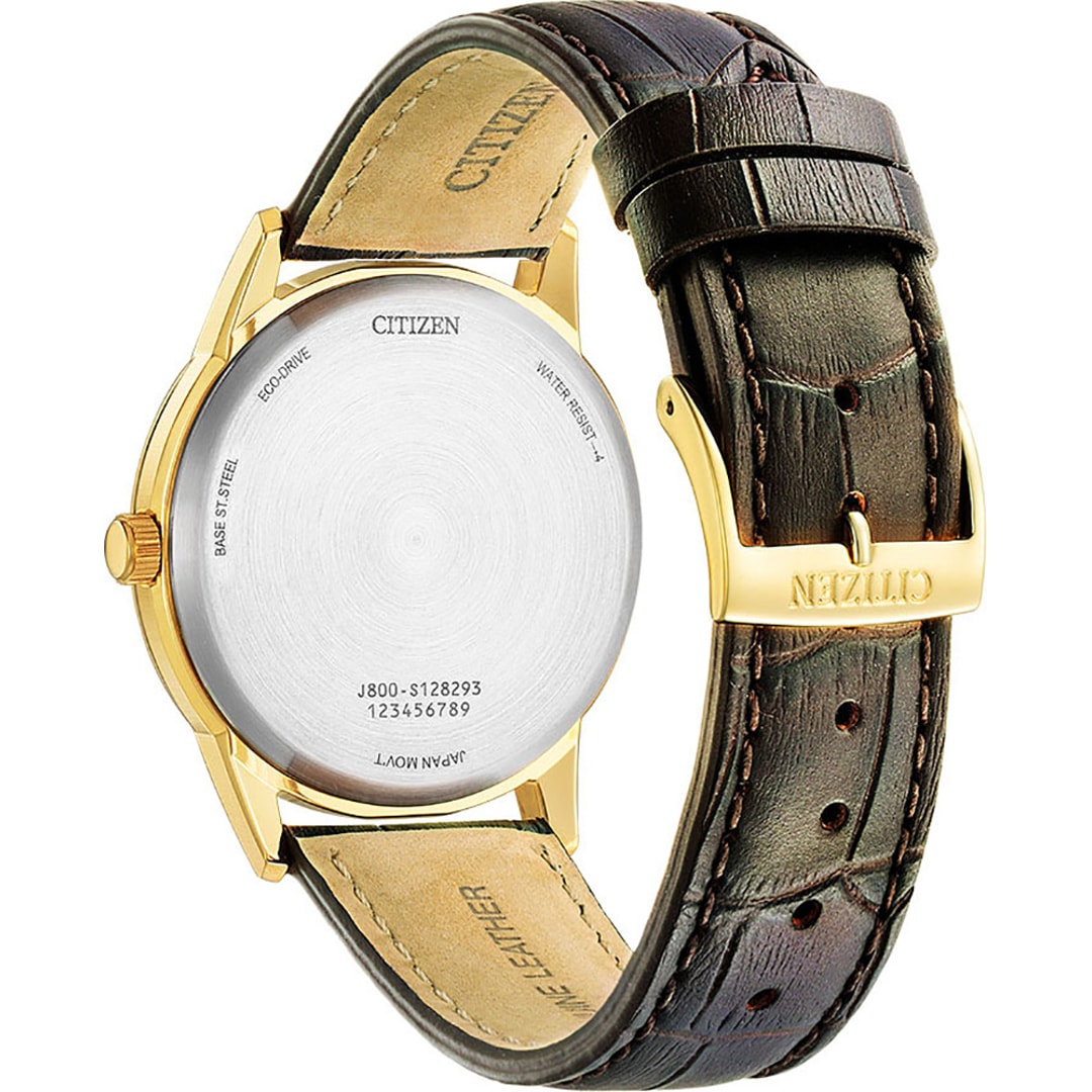 Citizen Sports Day-Date Eco-Drive