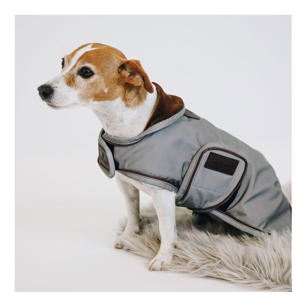 Kentucky REFLECTIVE & WATER REPELLENT - Chemise imperméable pour chien repellent silver