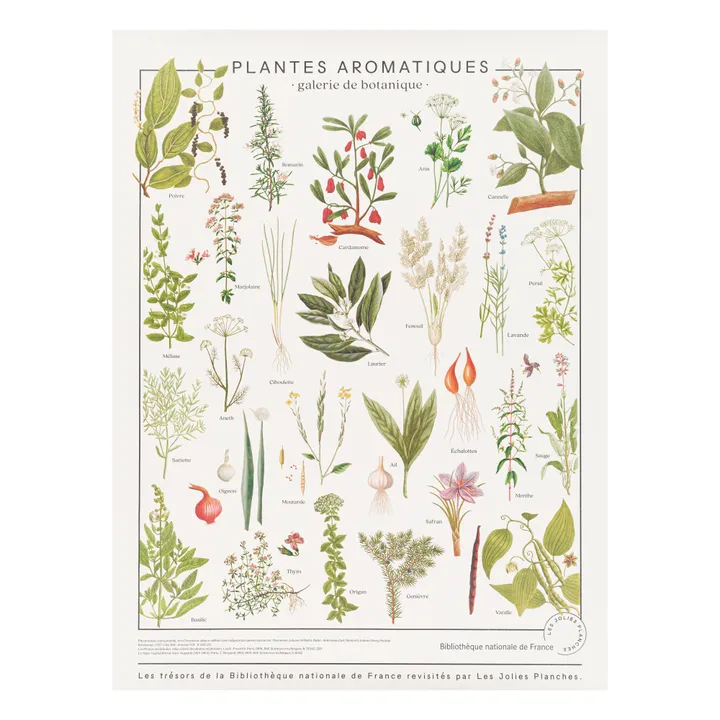 Les Jolies Planches Planche les trésors de la Bibliothèque Nationale Herbes aromatiques 60x80 cm