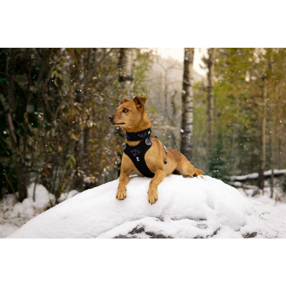 Hurtta Weekend Warrior Harness Zwart45 - 60 cm