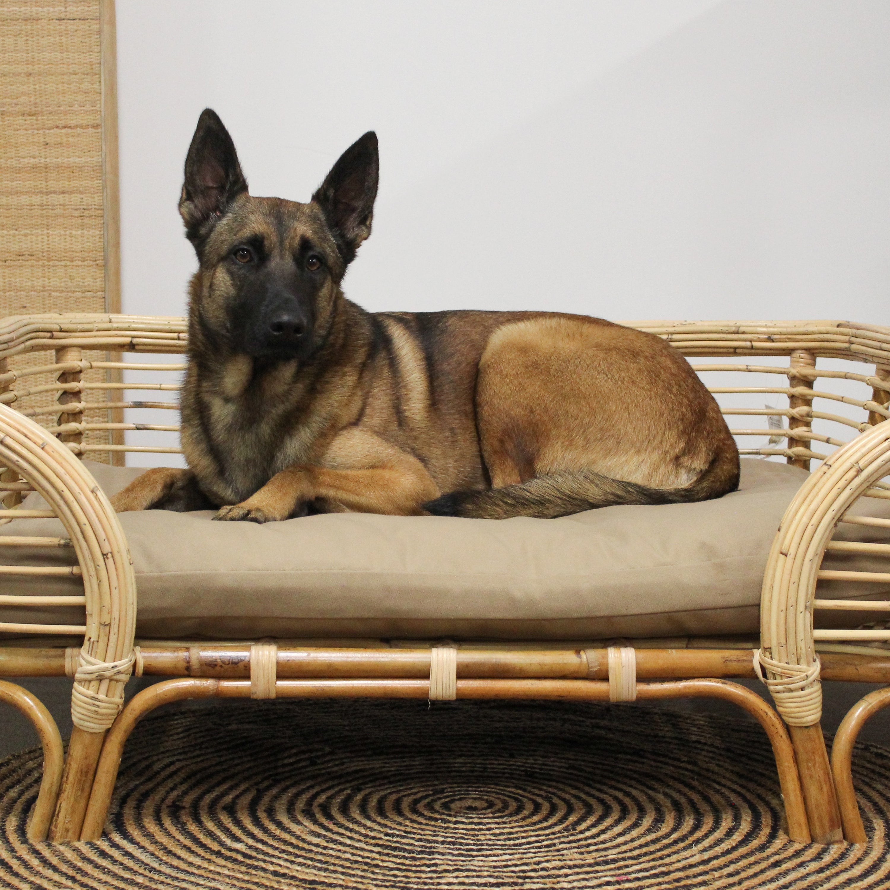 Van der Leeden Rotan Hondenmand 109 x 78 cm