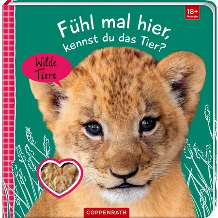 Coppenrath Verlag Fühl mal hier, kennst du das Tier? Wilde Tiere (Fühlen & begreifen)