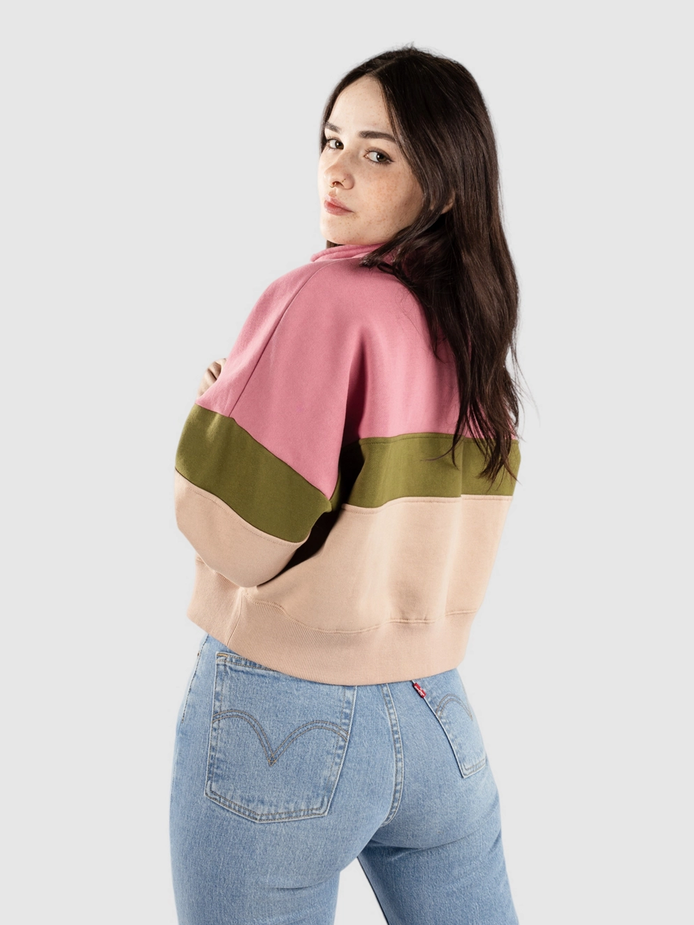 Santa Cruz BT Classic Strip Quarter Crew Half-Zip dusty rose/sea kelp/taupe