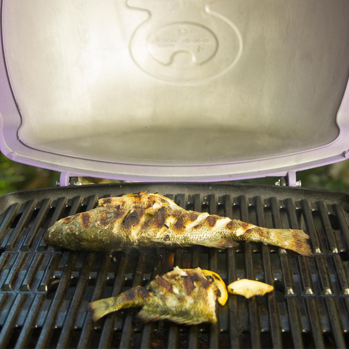 Weber Q 3200 Propane Gas Grill - Titanium - 57060001