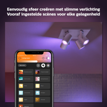 Philips Hue opbouwspot Argenta aluminium