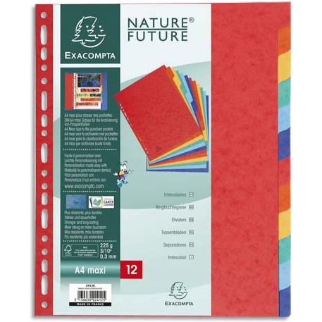 Intercalaire A4+ carte lustrée colorée Exacompta 12 onglets neutres multicolores - 1 jeu