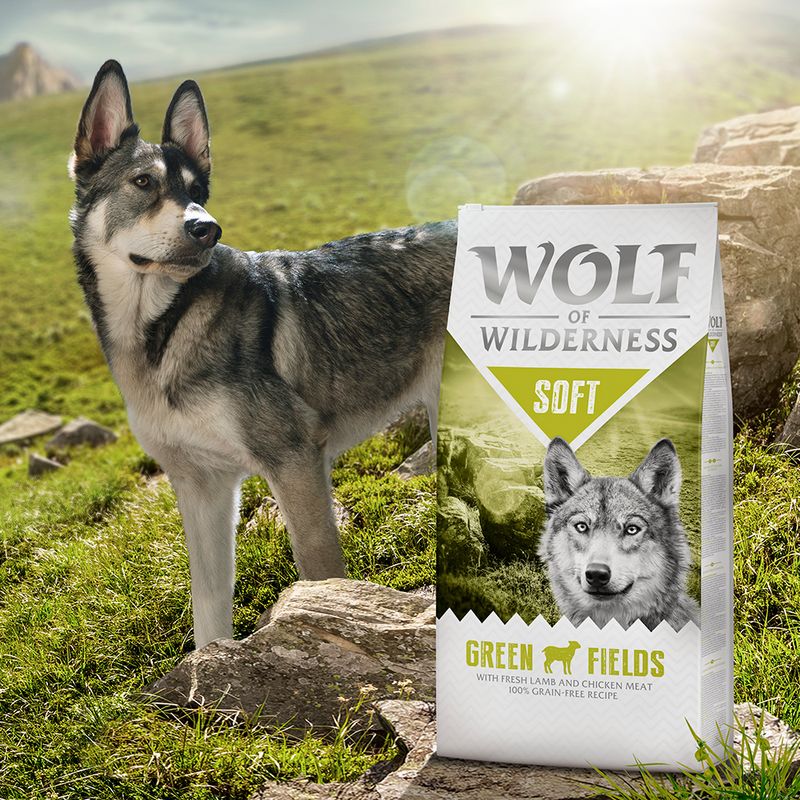 Wolf of Wilderness Adulte Soft Green Fields, agneau