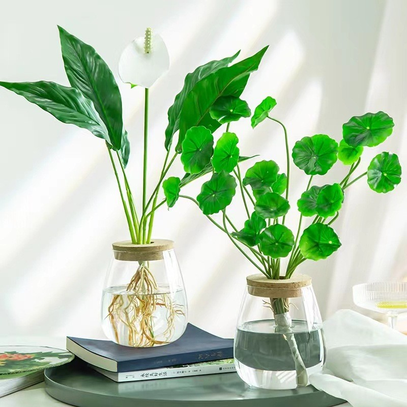 (Ø8x11cm) Glas Vase Deko Pflanzen Terrarium Hydrokultur Gefäss mit Kork Deckel