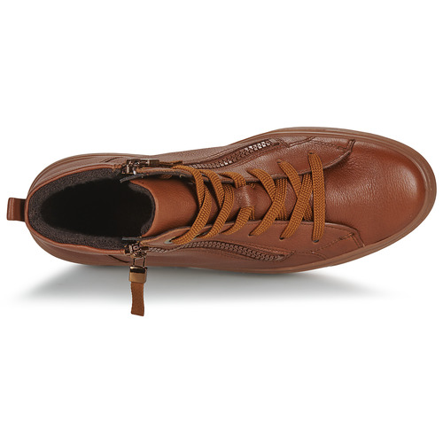 Ara - COURTYARD 2.0 - Cognac