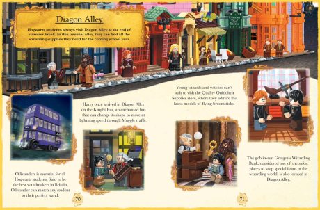 LEGO Harry Potter: Magical Year at Hogwarts (with 70 LEGO bricks, 3 minifigures, fold-out play scene and fun fact book) (Hardback)