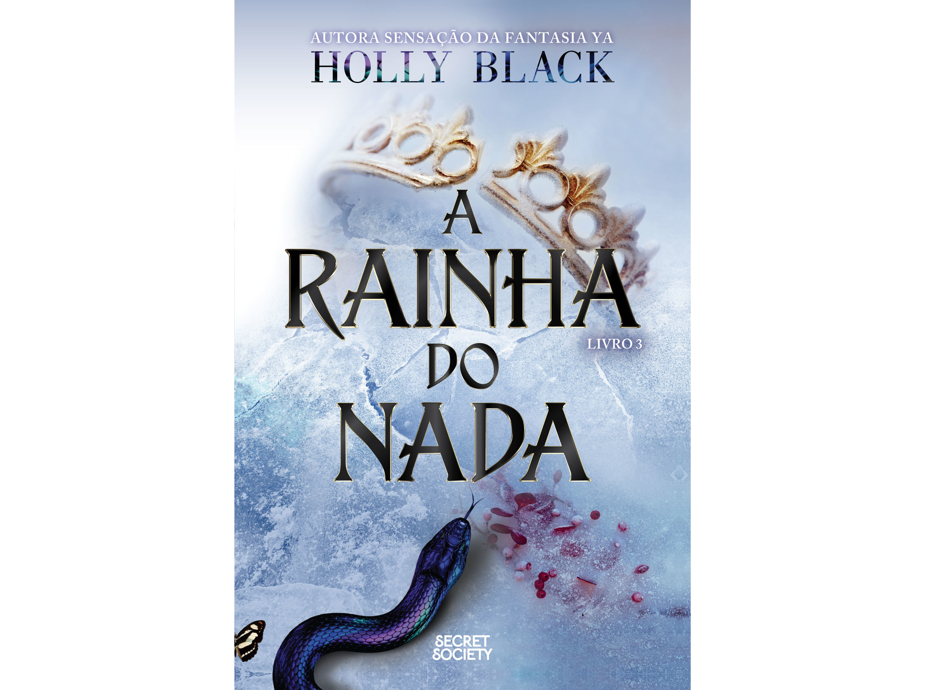 LIVRO A RAINHA DO NADA HOLLY BLACK