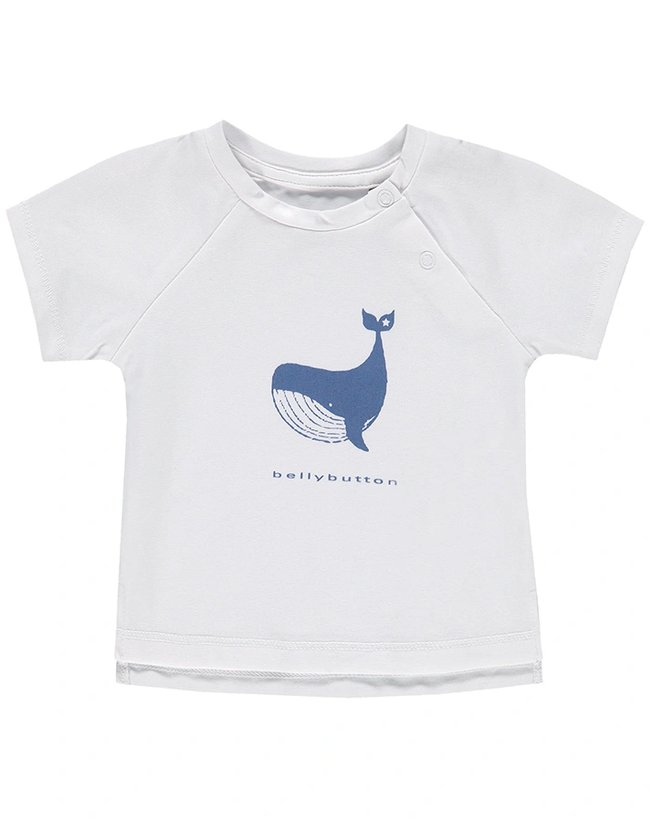 T-Shirt LITTLE WHALE in offwhite