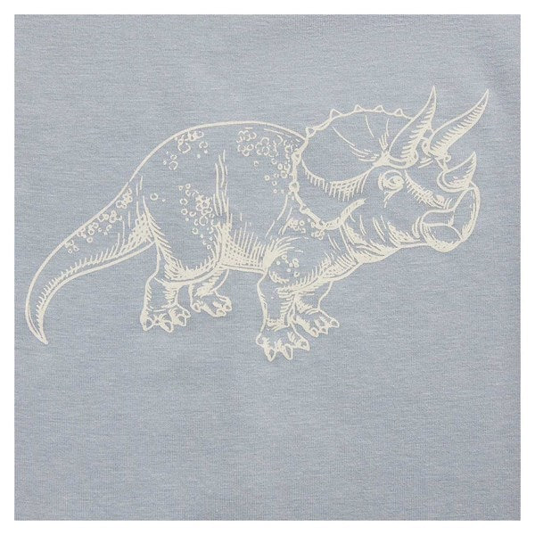 Dusty Blue T-shirt - Sofie Schnoor