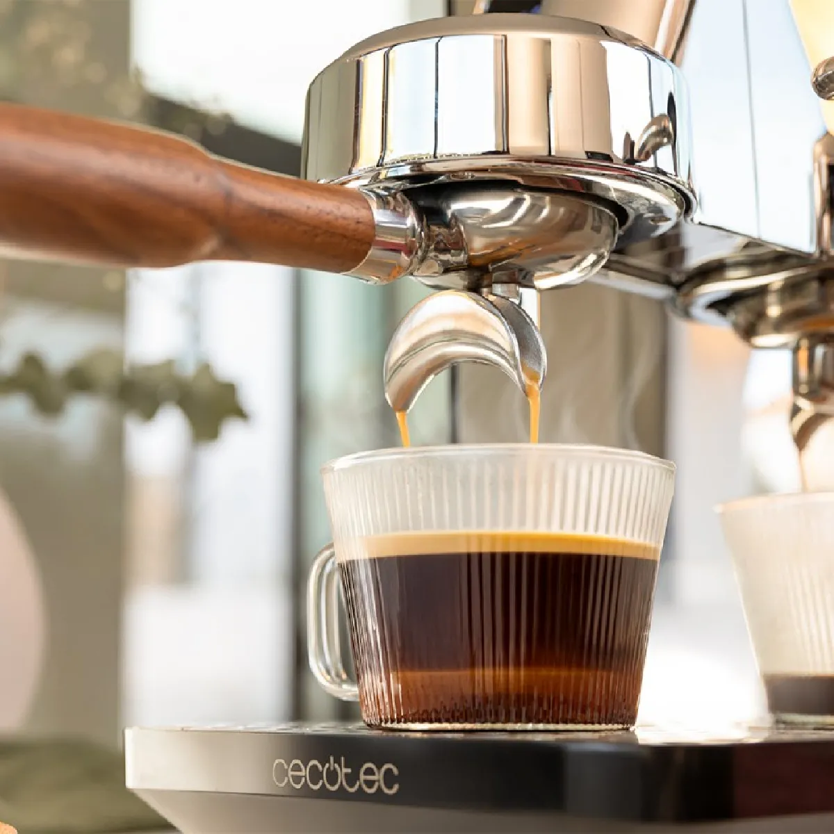 Cecotec Baristeo Intima