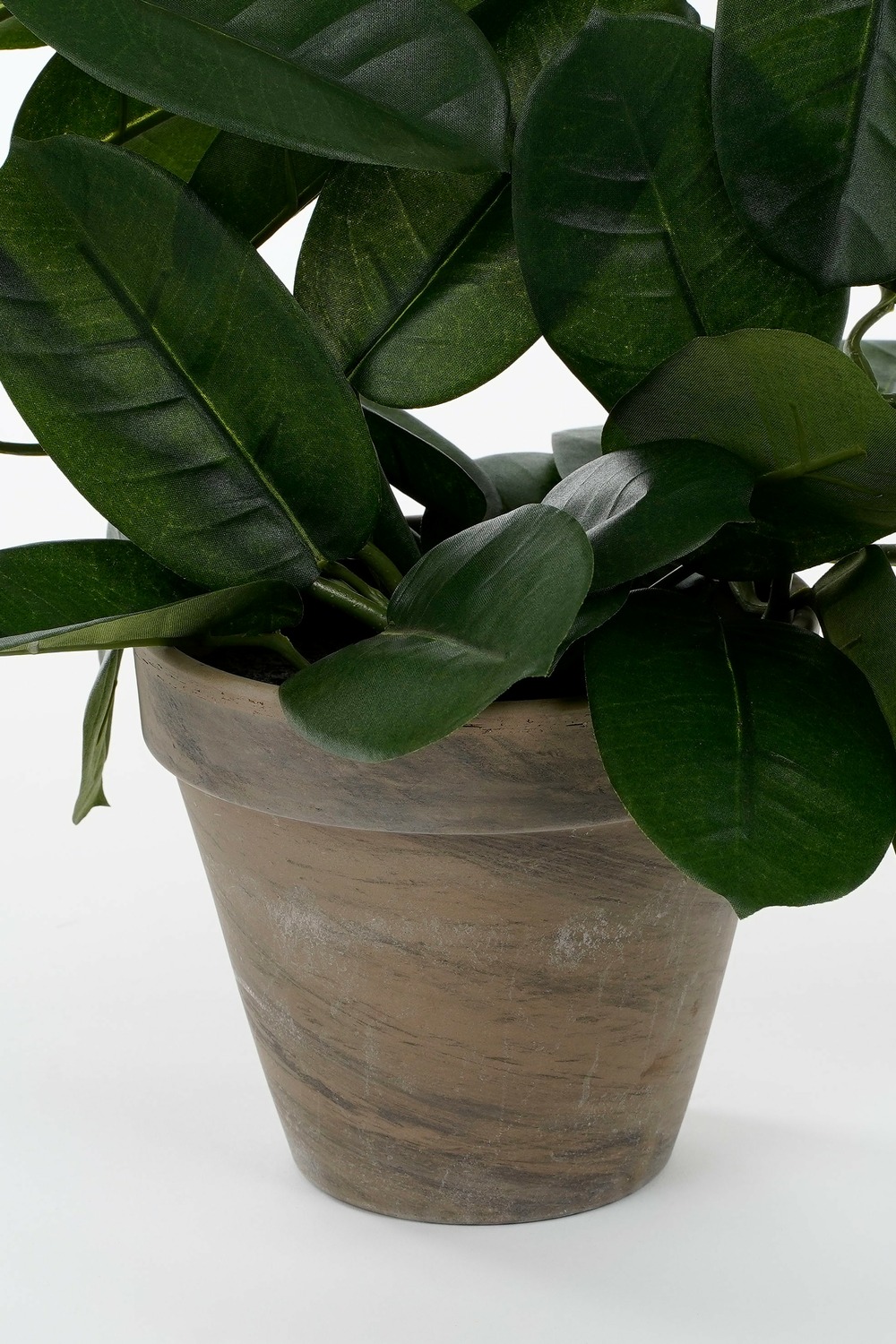 Mica decorations - stephanotis artificielle blanc en pot h50
