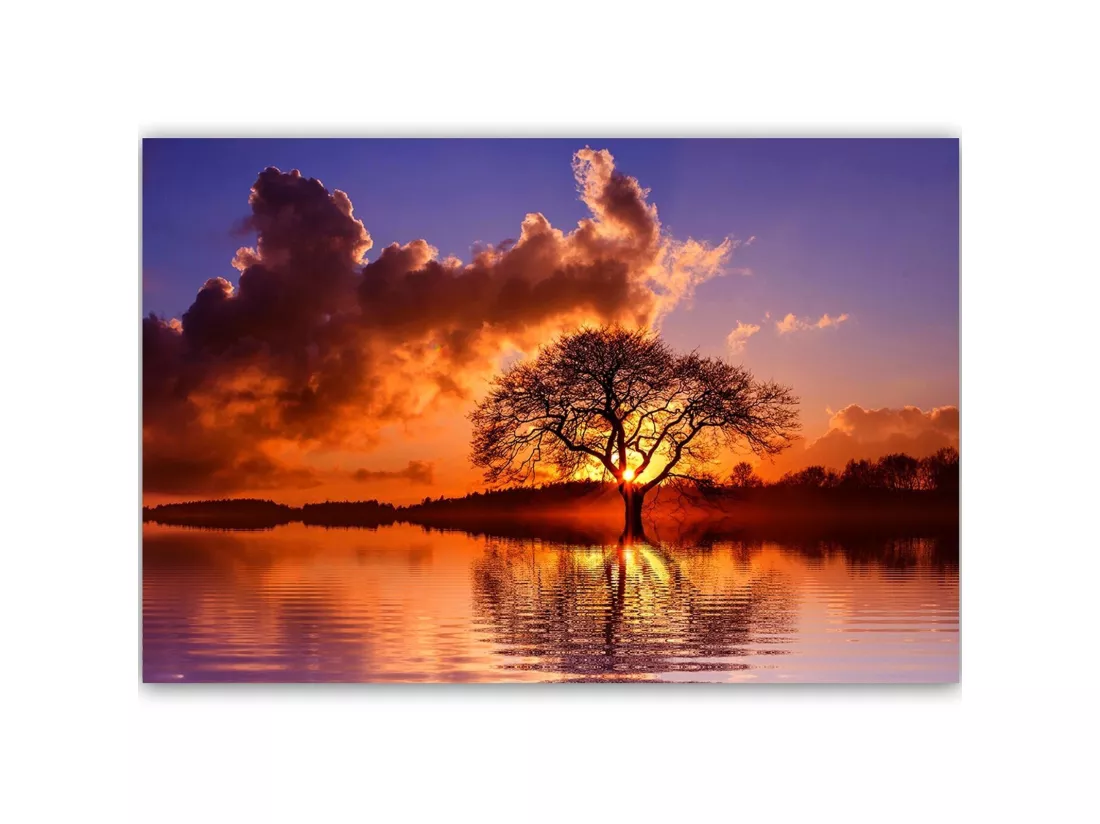 Tableau vue sur l'arbre à 4 - 120 x 80 cm