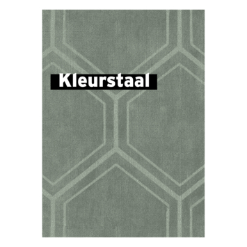 Behangstaal vliesbehang Hexagon groen 118149