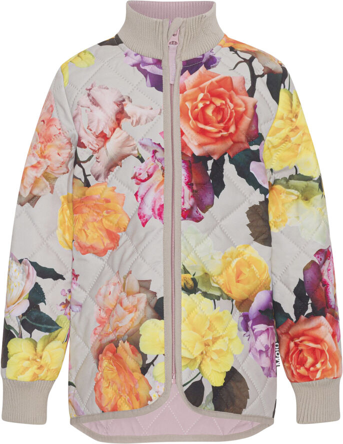Molo Husky Rose park grey
