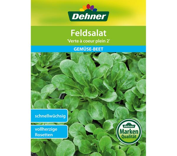 Dehner Samen Feldsalat 'Verte a coeur plein 2'