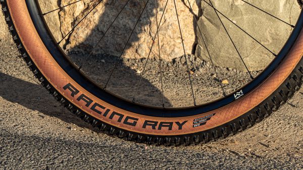 RACING RAY Evo Super Race Hinterrad- Reifen  bronze side  29