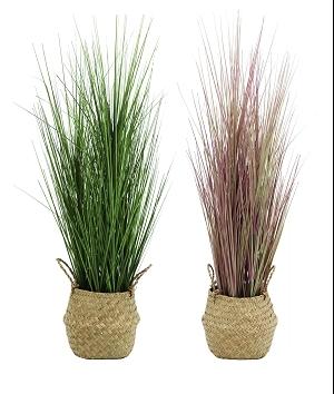 GRAMINEES AVEC CACHE POT OSIER H75CM