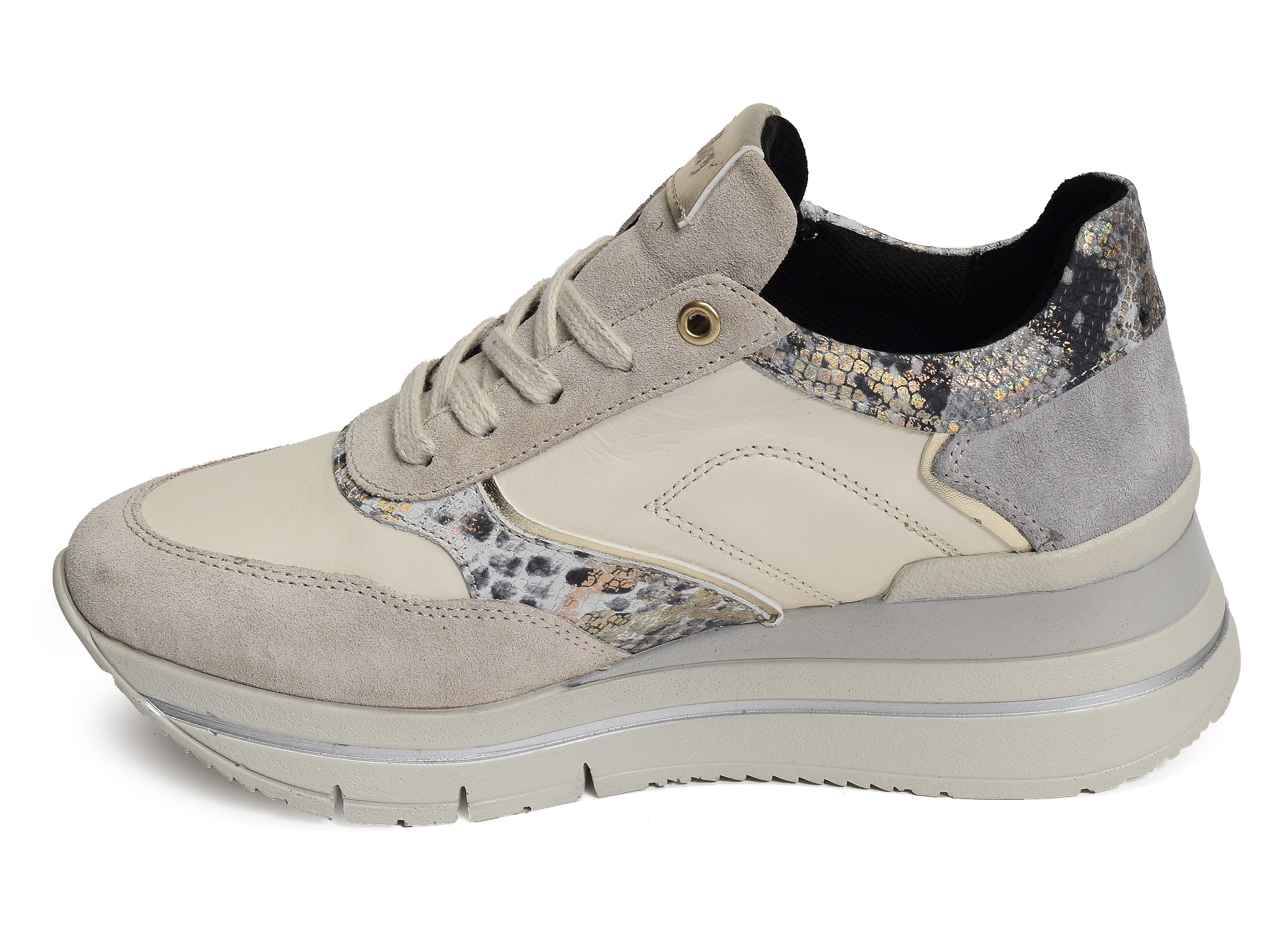 Focus beige