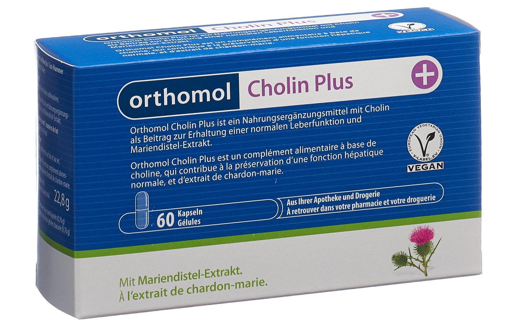 Cholin Plus 60 KapselnVegane Nahrungsergänzung mit Cholin und Mariendistel-Extrakt
