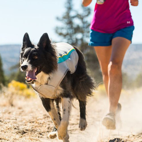 Ruffwear Swamp Cooler