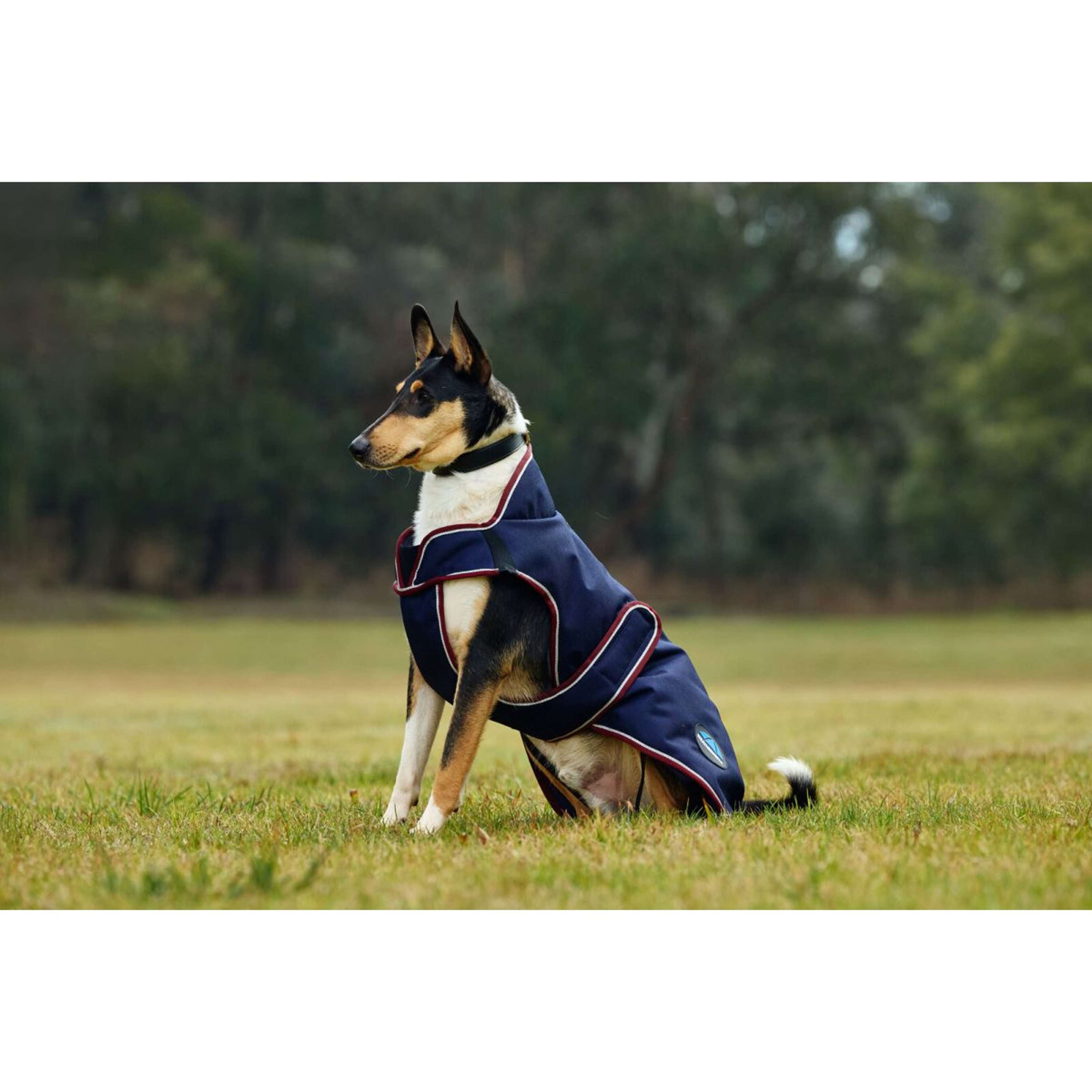 WeatherBeeta Hondendeken ComFiTec Premier Deluxe Waterproof Navy/Burgu