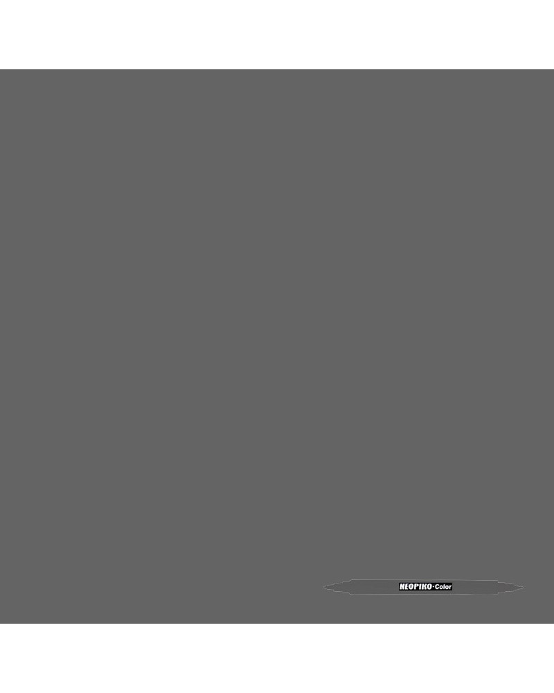 Cool grey 10 560