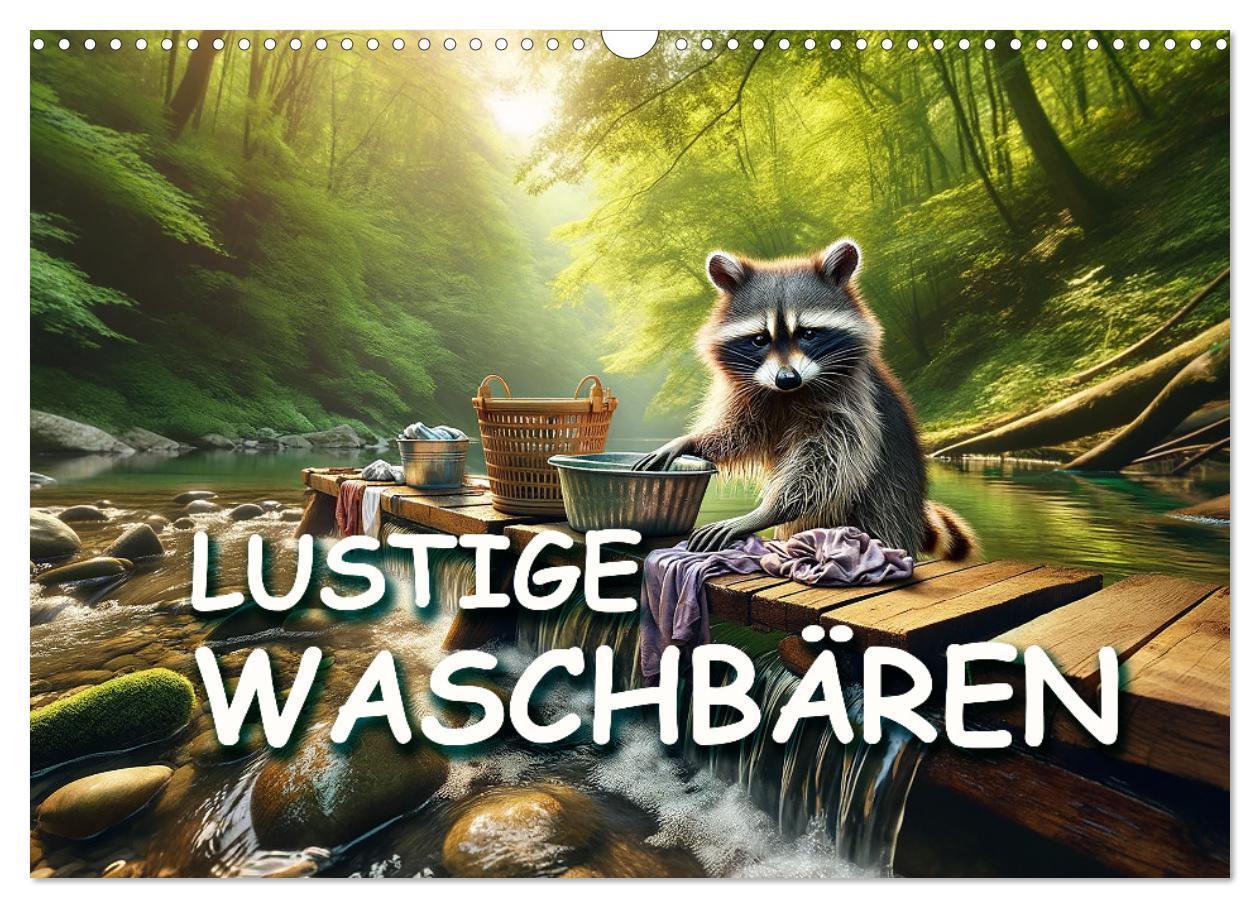 Lustige Waschbären (Wandkalender 2025 DIN A3 quer), CALVENDO Monatskalender