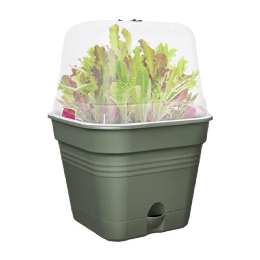 DYRKEPOTTE ELHO GREEN BASICS 30X30CM GRØNN