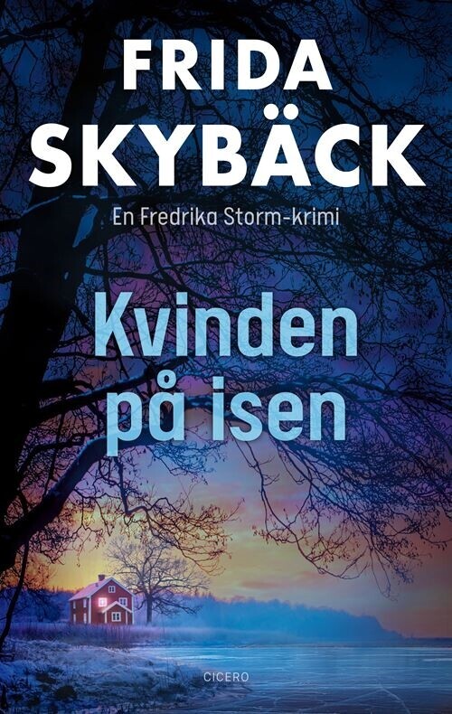 Kvinden På Isen - Frida Skybäck - Bog