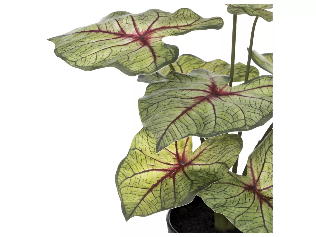 Plante artificielle Caladium en pot D. 34 x H. 41 cm