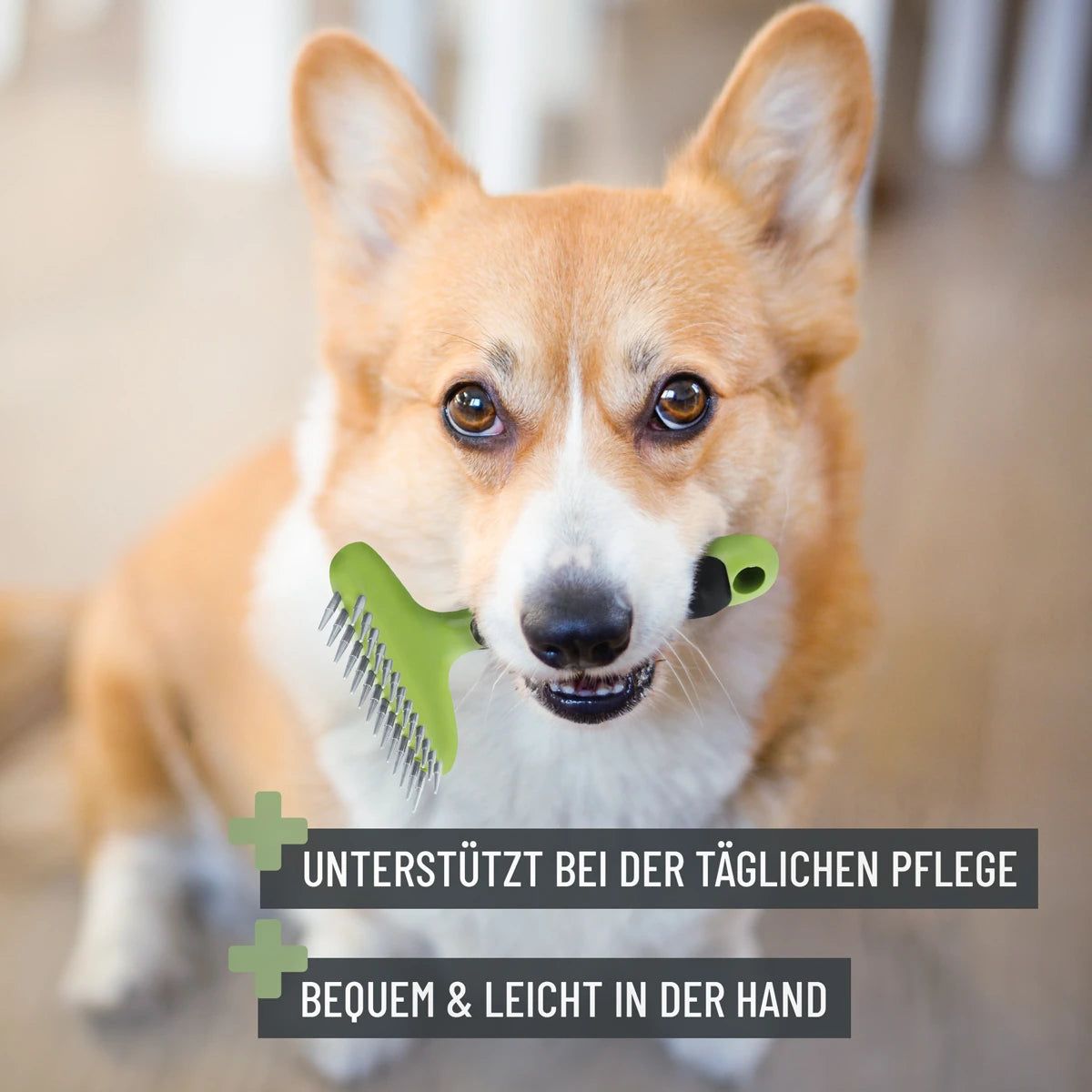 Fellstriegel - ReaVET
