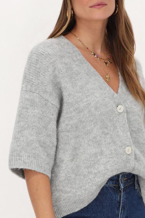 Grijs gebreid vest met korte mouwen