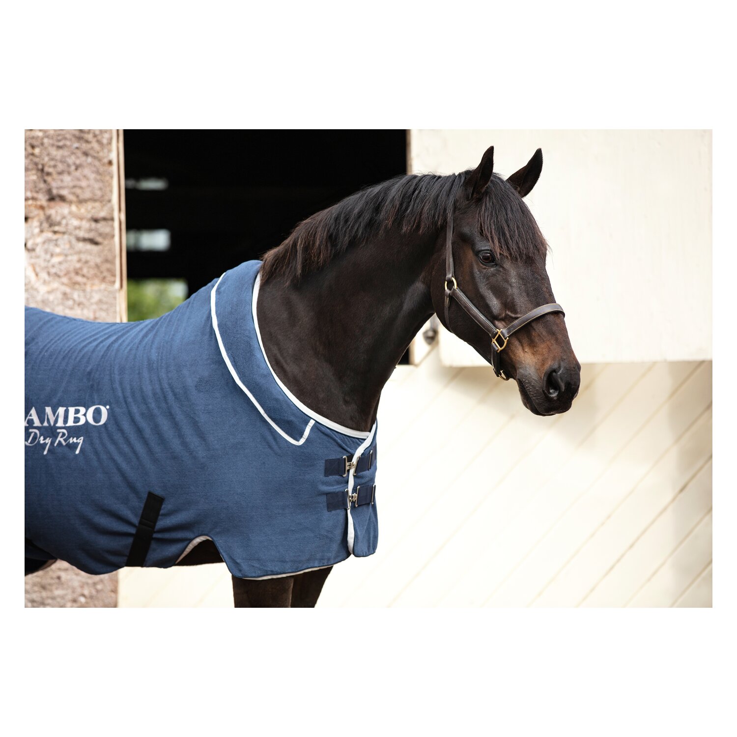 Horseware Abschwitzdecke RAMBO Dry Rug Supreme - navy