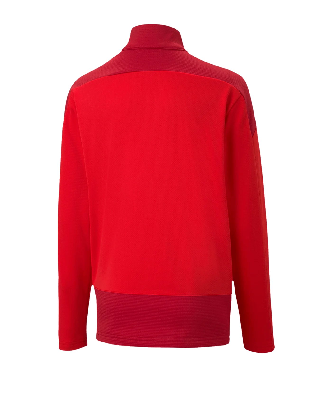 PUMA teamGOAL 23 Training 1/4 Zip Top Kids Rot F01