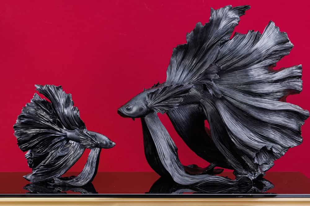 Design Deko Figur Kampffisch CROWNTAIL 35cm schwarz Betta Fisch Skulptur