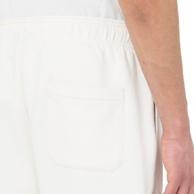 Short homme Mapleton MARRON DICKIES