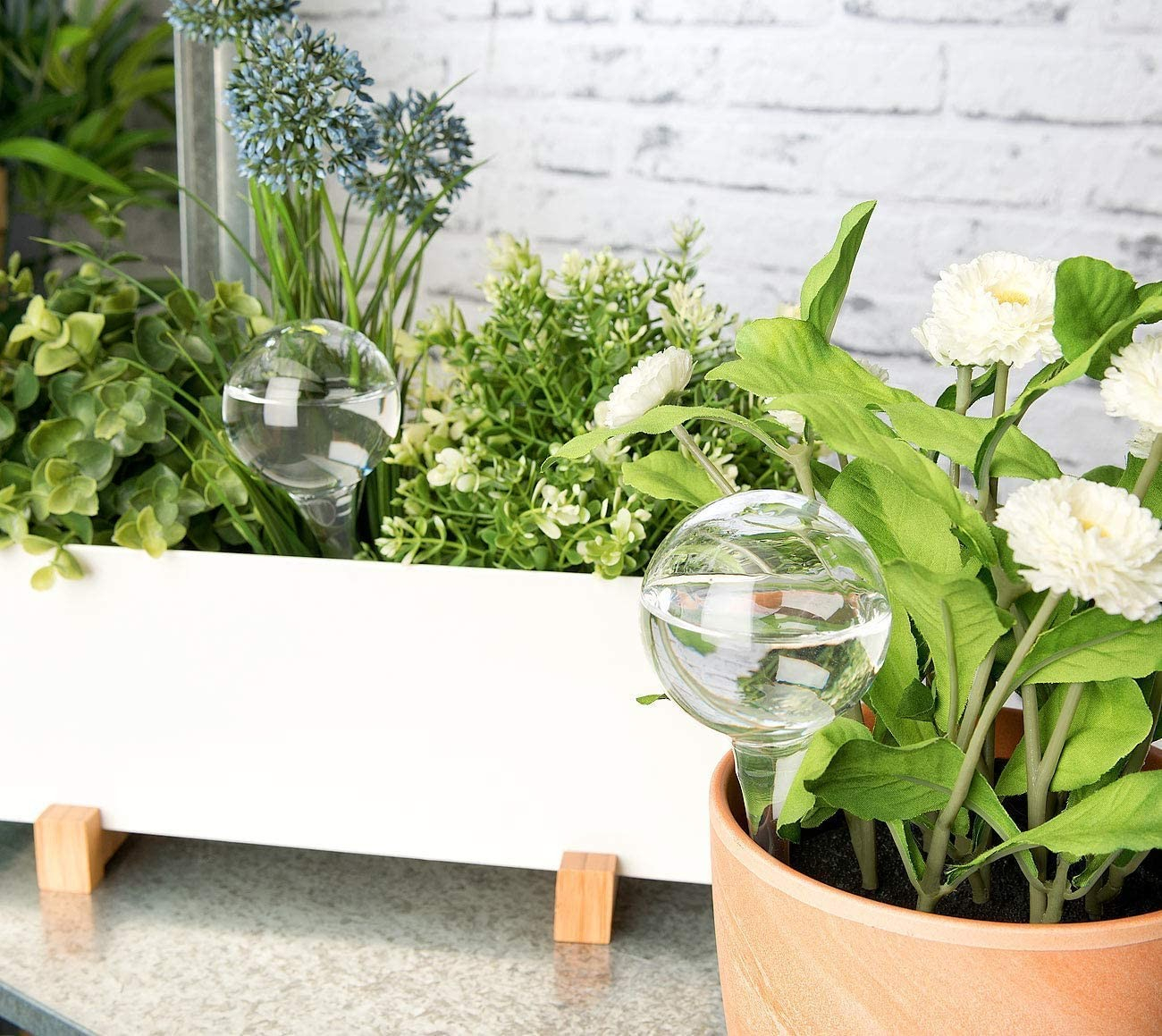 (4er Set) 5x13cm Automatische Pflanzenbewässerungs Kugel (Indoor/Outdoor) - Transparent