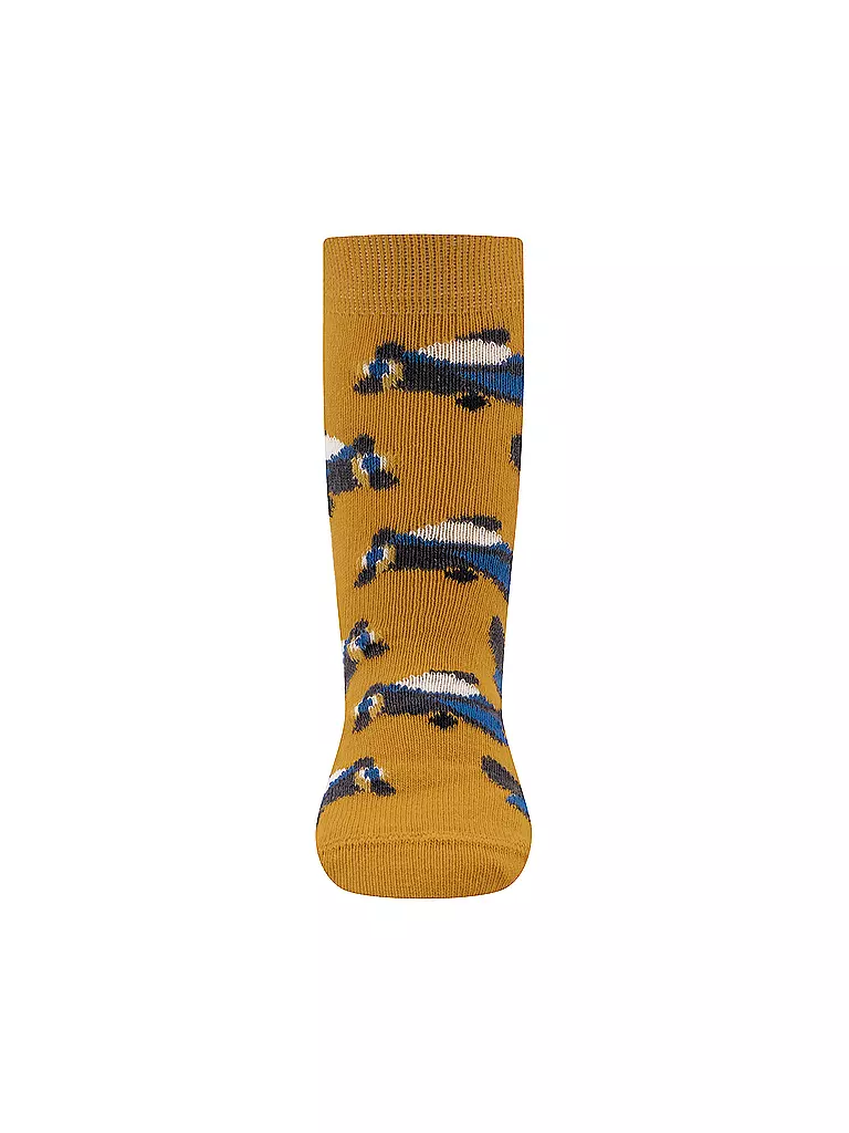 EWERS Jungen ABS Socken 2er Pkg gelb