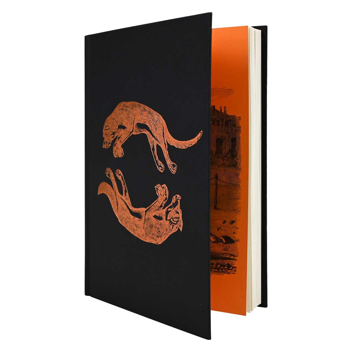 Normal Rules Don't Apply: Signed Edition (Hardback)