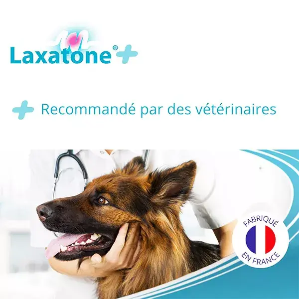 LAXATONE PLUS Suplemento alimentar para bolas de pelo e problemas digestivos em cães e gatos