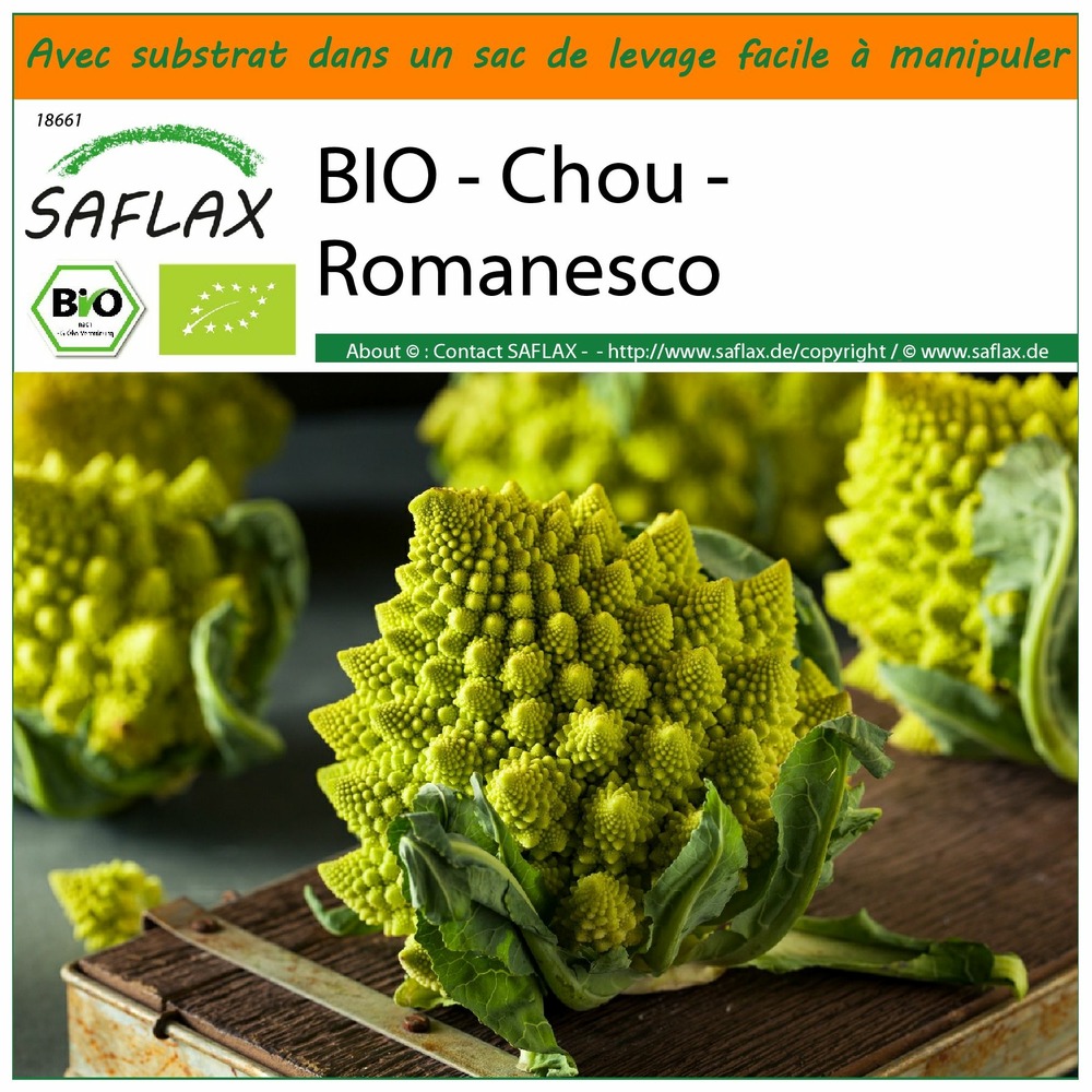 Jardin dans le sac - bio - chou - romanesco - 50 graines - brassica oleracea var. Botrytis
