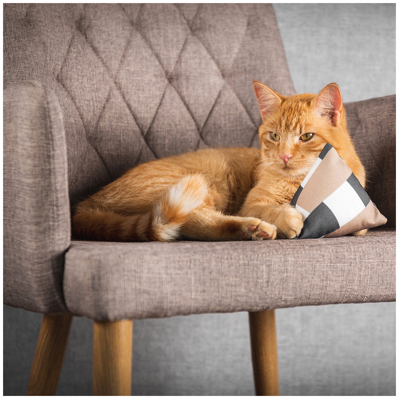 Canadian Cat Company 8er Catnip & Baldrian Schmusekissen
