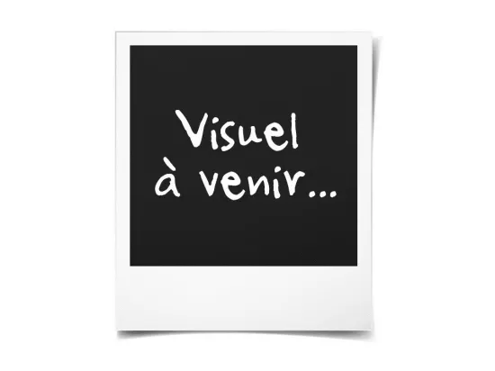 BLANREVE Traversin Plumes 160 cm