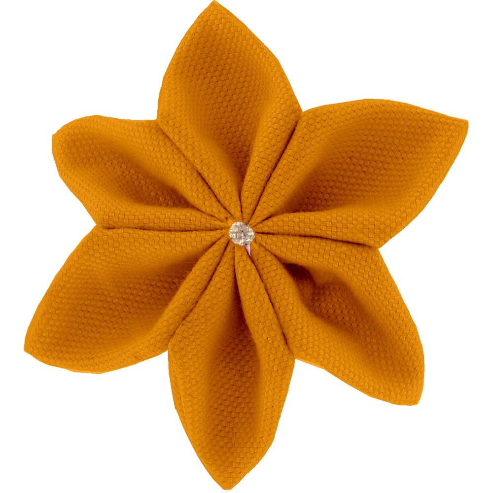 Barrette Fleur Étoile 4 Ochre
