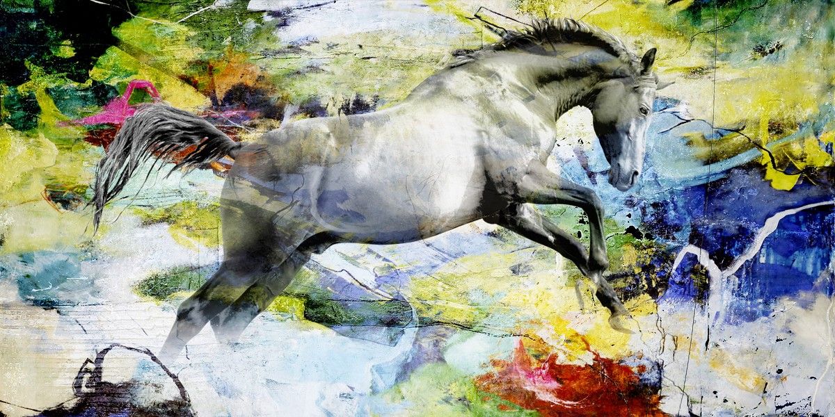 Keilrahmenbild COLOUR HORSE