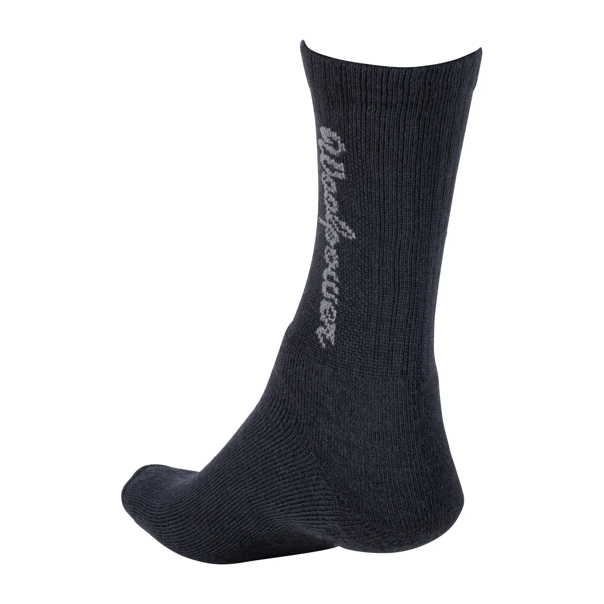 Woolpower -  Socken Classic Logo 400